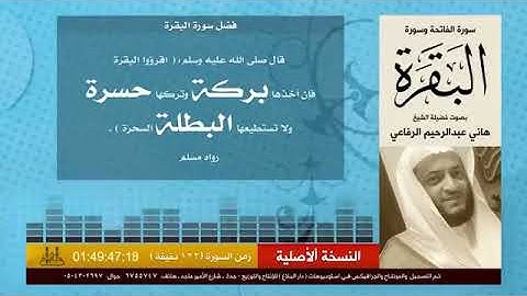 الشيخ هاني الرفاعي سورة البقرة-حسرة