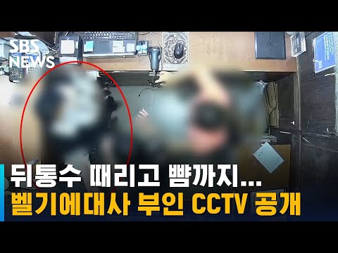 뒤통수 때리고 뺨까지…벨기에대사 부인 CCTV 공개 / SBS