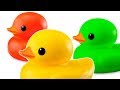 Rubber Ducks at the Swimming Pool - Nursery Cartoon Animation Video