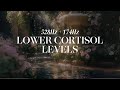 LOWER YOUR CORTISOL LEVELS Solfeggio Frequency 528 174Hz mp3