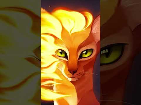 Коты воители эдит/Огнезвёзд/Бич/Песчаная