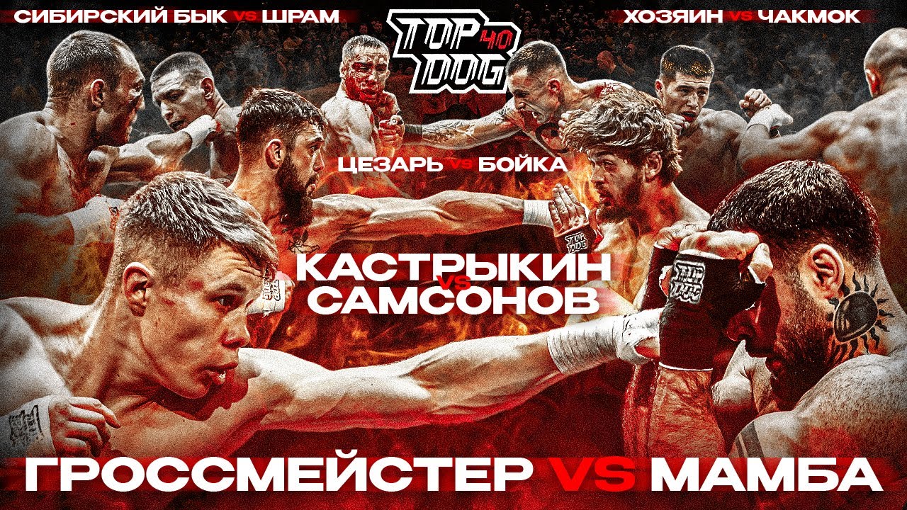 TOP DOG 40 | Гроссмейстер VS Мамба, Кастрыкин VS Самсонов, Сибирский Бык VS Шрам, Цезарь VS Бойка