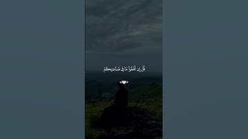 قرآن كريم راحة نفسية 🤍🎧 متابعة للصفحة فضلاً 🥰🤍 #قرآن #قران_كريم