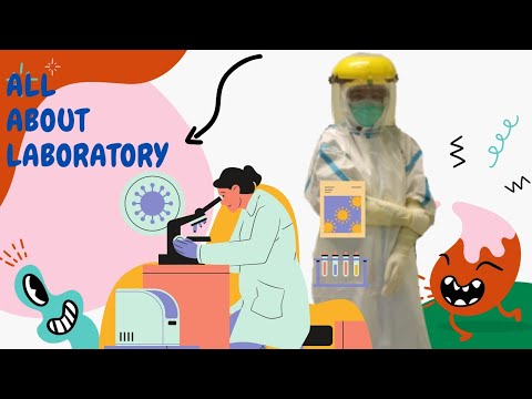 Video: Laboratorium Hidup