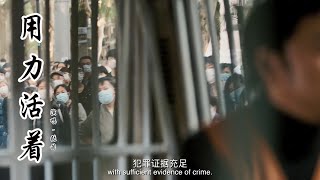 张茜《用力活着》