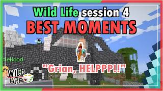 Best Moments From Wild Life Session 4 Ft. Mumbos Fails