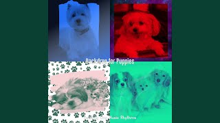 Sublime Moods for Dogs