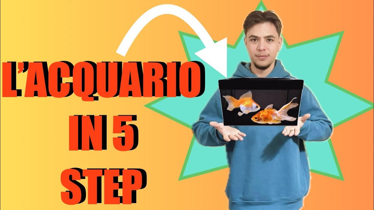 Il mio primo acquario in 5 STEP - Guida all’allestimento - YouTube