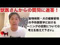 【質問に返答！】獣医さんからの質問「動物病院・犬の健康管理・犬の予防獣医学におけるトレーニングの役割についての考えを教えて下さい」　PSDドッグサポートセンター　いぬプロ　inupro　犬プロ