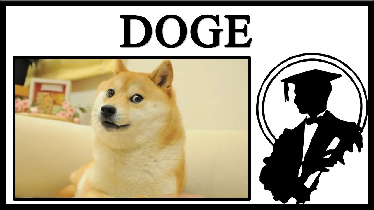 MUST WATCH! EVERYONE IS WRONG!? $2 DOGE Coin COMING?  The TRUTH About $1 Dogecoin DOGE Update Today