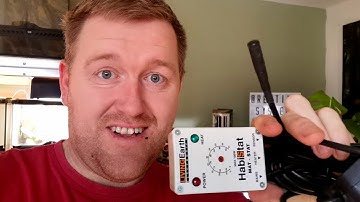 Reptile Thermostat Probe Placement 2021