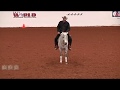 Pete Kyle on VKS Thundermoon Appaloosa World Open Senior Winner from 3-2-1 Action Video!