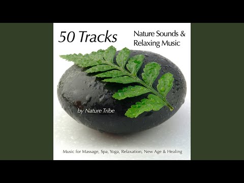 Magic Mountains (Tibetan Bowls, Flutes & Bird Sounds for Spa)
