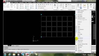 Celebrity AutoCAD II 26-29 Using an Array Action Dynamically Net Worth
