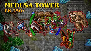 TIBIA - EK 317 | MEDUSA TOWER | 3KK/H RAW + 520K PROFIT