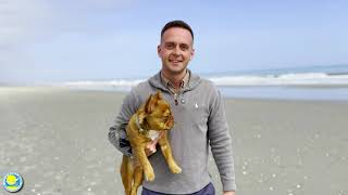 Please Keep Dogs Leashed on the Beach!