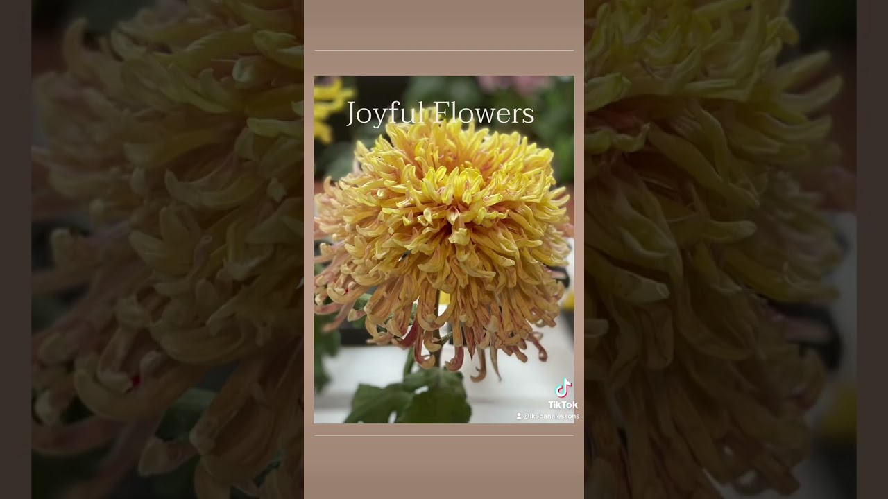 Joyful Flowers