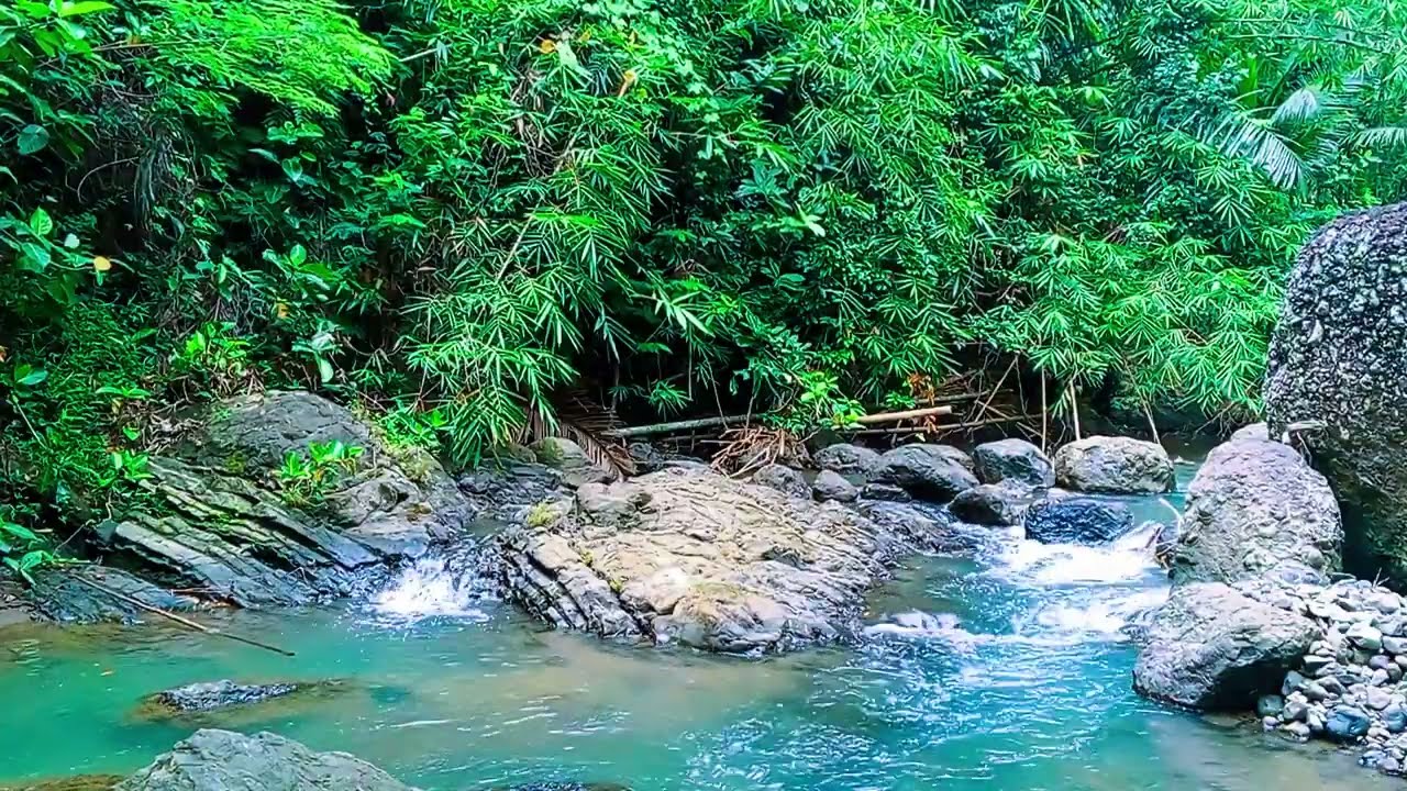 Soothing River Sounds, Healing Sounds, Nature Sounds for Sleep and Relaxation