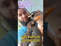শালিক পাখি কথা বলে1