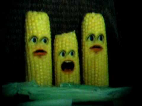 The scared corn