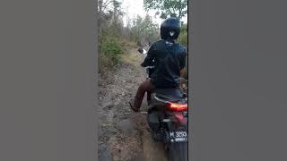 Sumber panguripan pakis trowulan Mojokerto Jawa timur