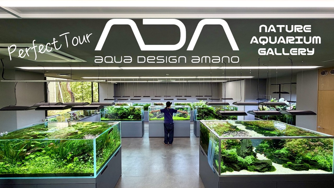 アクア ❣️ITALY ドマン コンソール 象嵌細工 Aquarium】Inside ADA Headquartes Tour/ Nature Aquarium Gallery (A