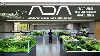 Aquarium】Inside ADA Headquartes Tour/ Nature Aquarium Gallery (A