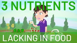 3 essential nutrients that are lacking in food