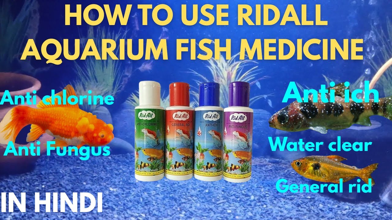 How To Use Ridall Medicine For all Types of Aquarium Fish || Anti Chlorine, Anti Fungus, Anti Fungus