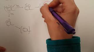 Chem 322b Extra Credit Benzyne Mechanism