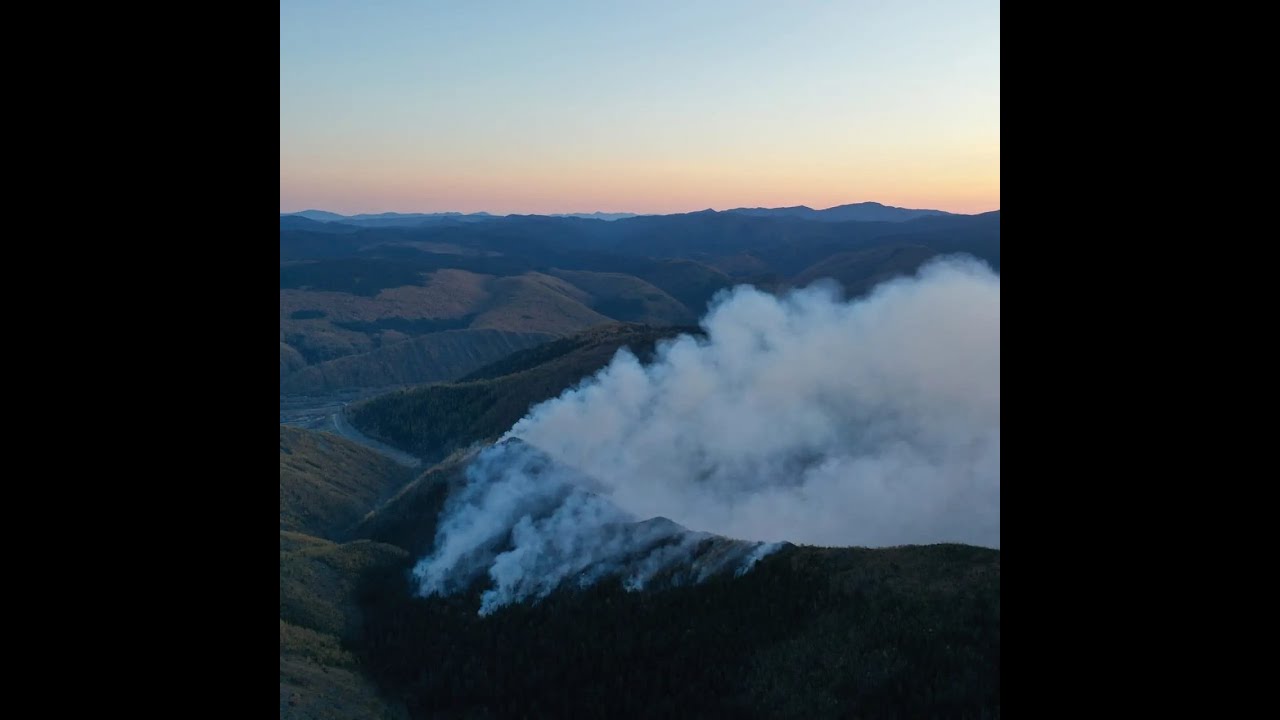 Полезно ли жечь прошлогоднюю сухую траву? О мифах и науке вокруг ...