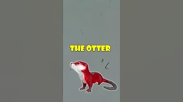 The Otter