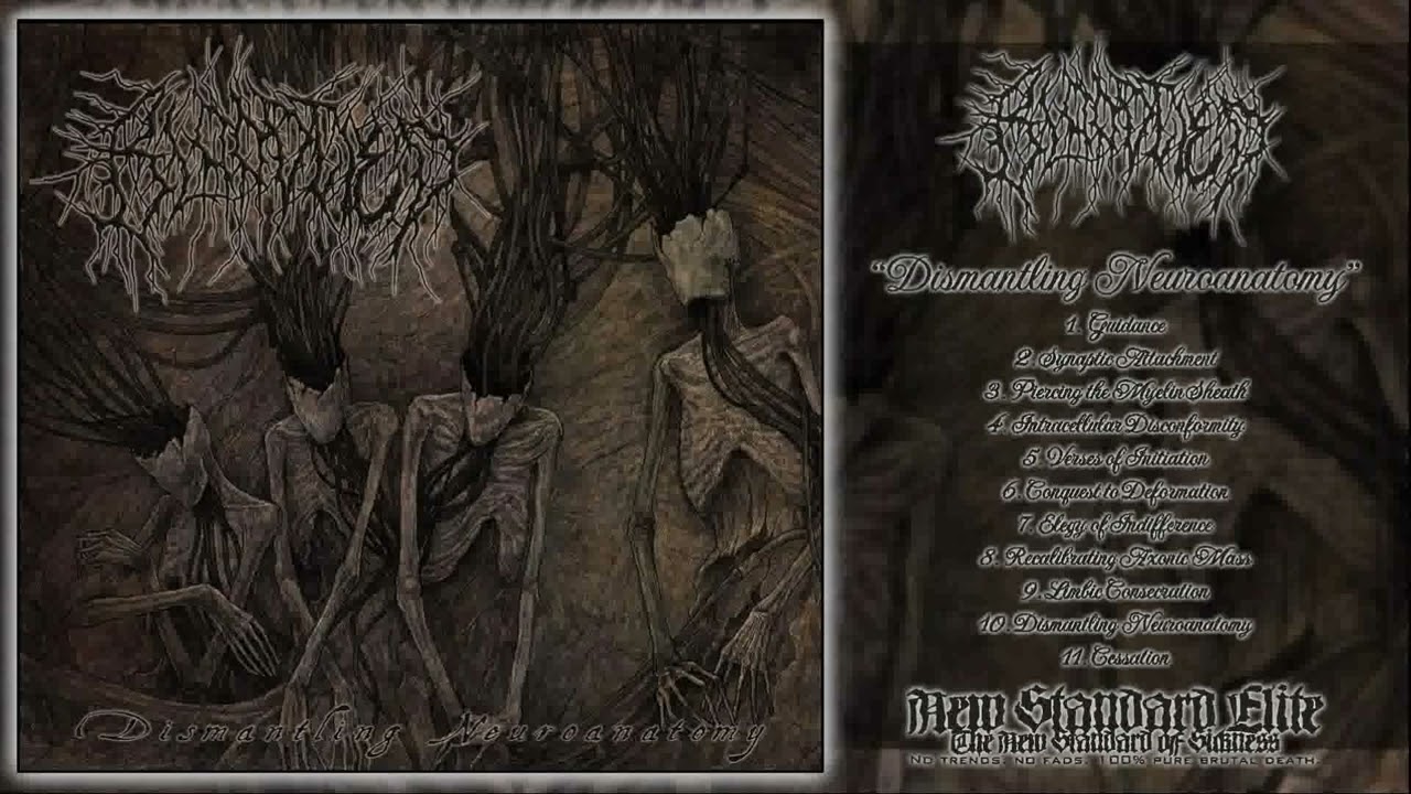 BLOODTIED - Dismantling Neuroanatomy [Full-Length] (Technical Brutal Death Metal - 2025)