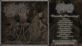 Download Lagu BLOODTIED - Dismantling Neuroanatomy [Full-Length] (Technical Brutal Death Metal - 2025) MP3