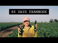 88 DAYS FARMWORK: EVERYTHING YOU NEED TO KNOW