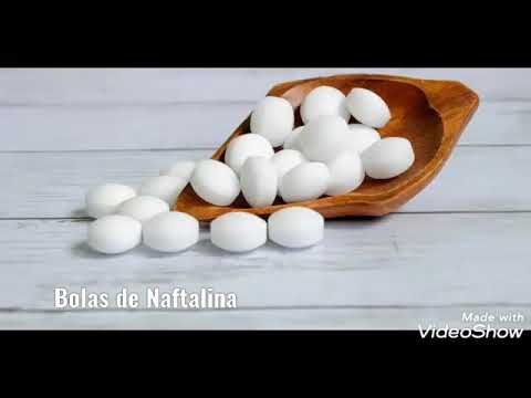 Video: ¿Las bolas de naftalina restan valor a los ratones?