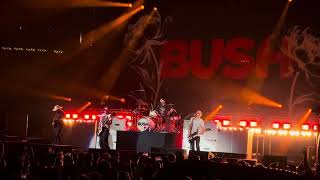Download Lagu Bush - Comedown (Live in Sacramento, CA) MP3