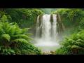 How to make stress release with nature | Tropical Water | Make Stress Release Time