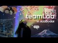 【ミニVLOG】teamLab⭐︎Borderless