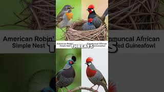 Exploring Avian Architecture: The Ingenious Defense Mechanisms of Bird Nests Revealed!