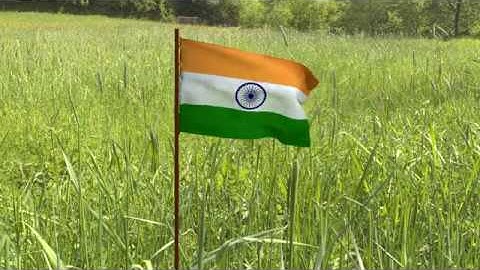 Waving flag animation using blender