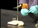 Organic Chemistry Lab Demo: Isolation of Limonene (part 2)