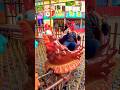 Naik ayam coklat mata melotot lucu berkotek-kotek melaju kencang ada spiderman 🐓 #chicken