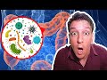 Your Gut Microbiome: 3 Facts that will BLOW your Mind