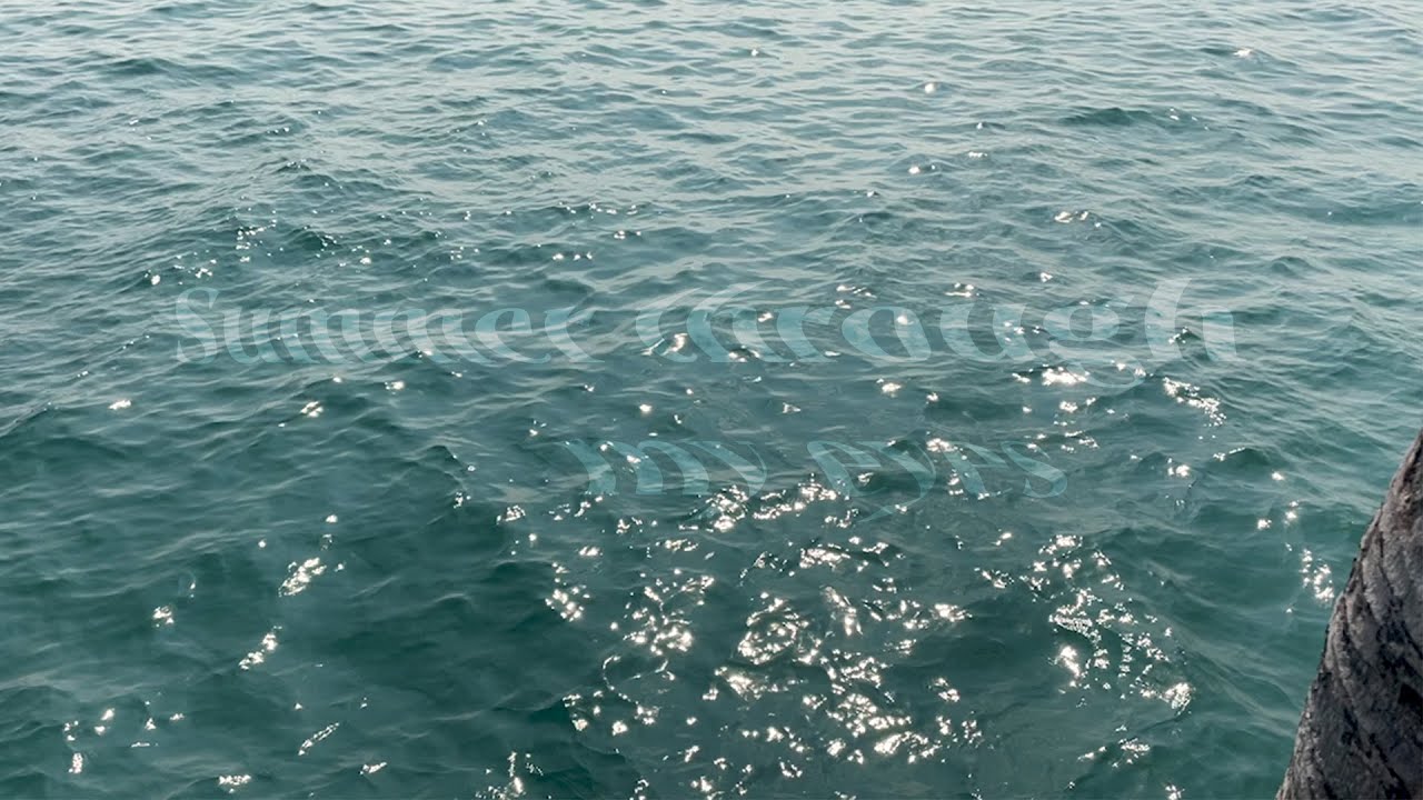 VLOG: CBI - TH No yapping, just look