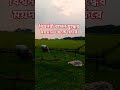 বিশ্বনবী বলেন যুদ্ধের ময়দান থেকে ফিরে#shortvideo#youtubeshorts #waz