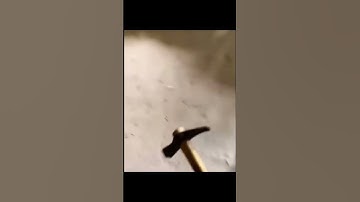 Shitpost Status Compilation V15