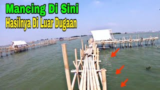 MANCING IKAN RUCAH HASILNYA DILUAR DUGAAN || RUMPON SEMARANG