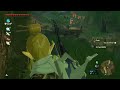 Find Energetic Rhino Beetles #breathofthewild #thelegendofzelda