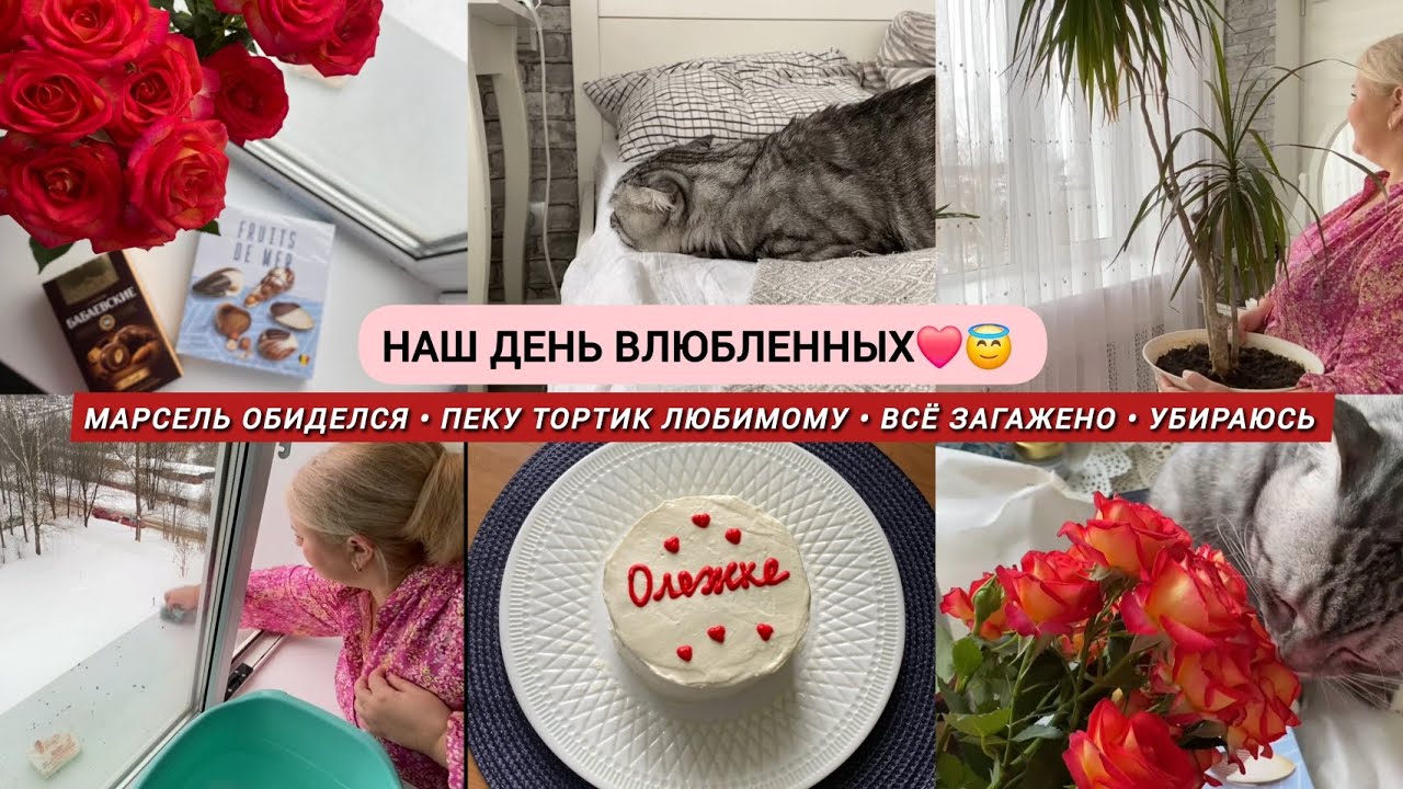 Наш День Влюблённых❤️/ Пеку тортик / Марсель обиделся / Всё загадили, убираюсь 